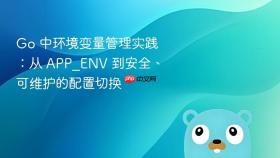 Go 中环境变量管理实践:从 APP_ENV 到安全、可维护的配置切换