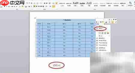 Word数据快速导入Excel技巧