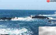 蓝海类目产品揭秘