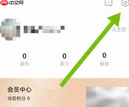 恒驰软件更新检查方法