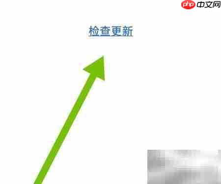 恒驰软件更新检查方法