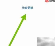 恒驰软件更新检查方法
