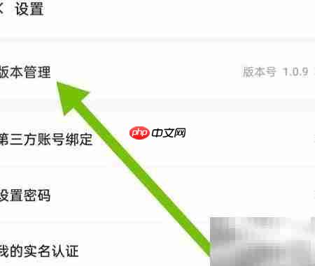 恒驰软件更新检查方法