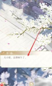 灵猫传攻略精选