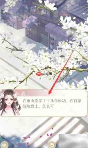 灵猫传攻略精选