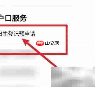 出生证明办理指南