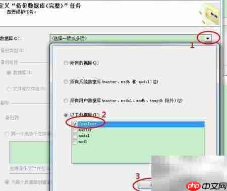 设置数据自动备份方法