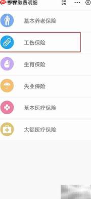 如何查询单位工伤保险缴纳情况