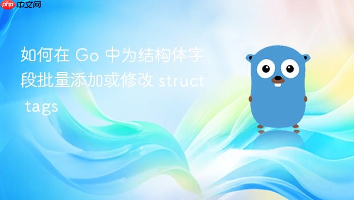 如何在 Go 中为结构体字段批量添加或修改 struct tags