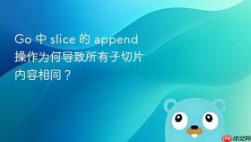 Go 中 slice 的 append 操作为何导致所有子切片内容相同？
