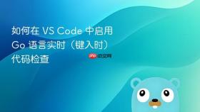 如何在 VS Code 中启用 Go 语言实时(键入时)代码检查
