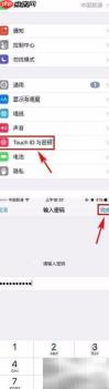 iPhone7启用数据保护方法