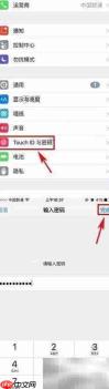 iPhone7启用数据保护方法