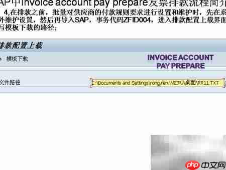 SAP发票排款流程解析