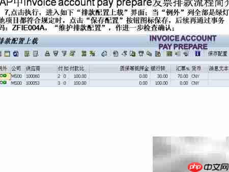 SAP发票排款流程解析