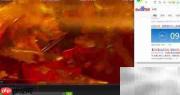 珠江宽频视频网速实测