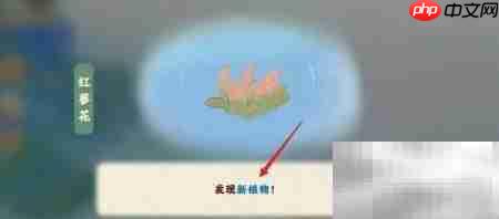 桃源雨花石获取攻略
