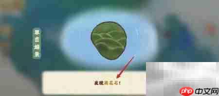 桃源雨花石获取攻略