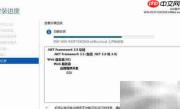Win Server 2012安装.NET指南