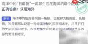 一角鲸：海洋中的独角兽