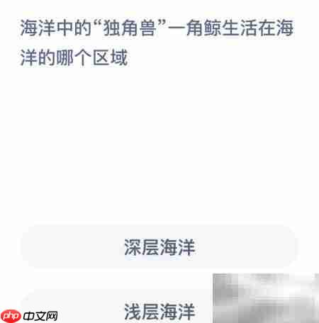 一角鲸:海洋中的独角兽