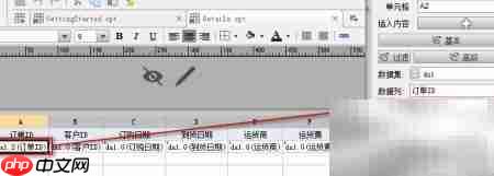 纵向扩展属性制行式报表