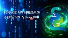 如何根据 API 调用结果动态执行不同 Python 脚本