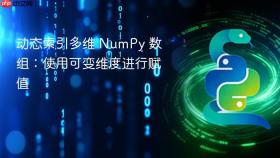 动态索引多维 NumPy 数组：使用可变维度进行赋值