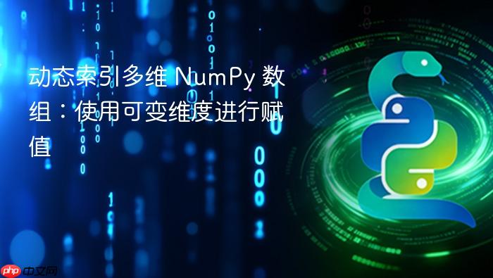 动态索引多维 NumPy 数组:使用可变维度进行赋值