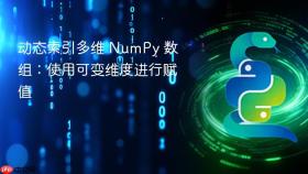 动态索引多维 NumPy 数组：使用可变维度进行赋值
