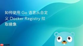 如何使用 Go 语言从自定义 Docker Registry 拉取镜像