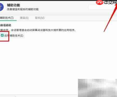 Manjaro启用屏幕阅读与放大