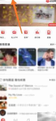 网易云表白翻译机入口在哪