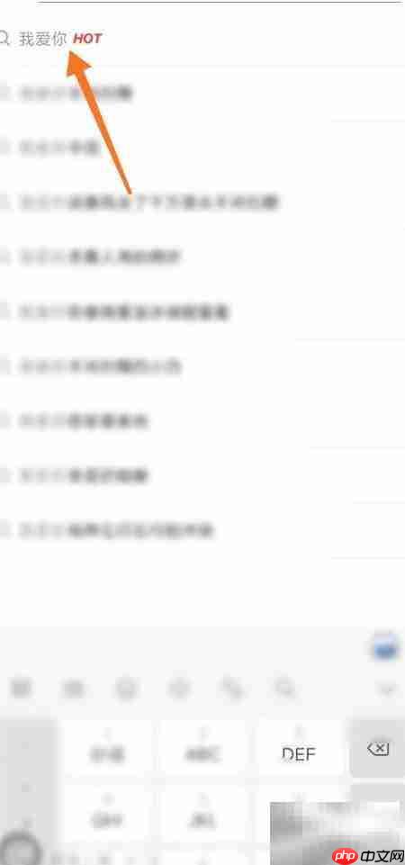 网易云表白翻译机入口在哪