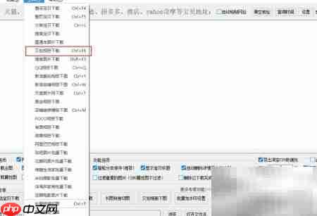 快速批量下载又拍网图片