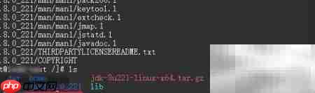 Linux安装Java及环境配置