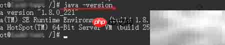 Linux安装Java及环境配置