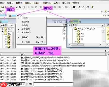 RegWorkshop:高效注册表编辑器