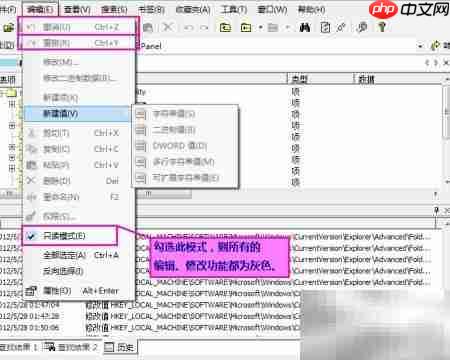 RegWorkshop:高效注册表编辑器