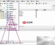 RegWorkshop：高效注册表编辑器