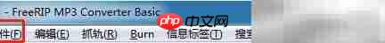 FreeRIP MP3自动选搜索结果