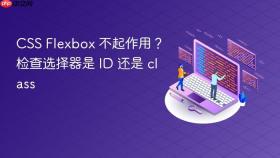 CSS Flexbox 不起作用？检查选择器是 ID 还是 class
