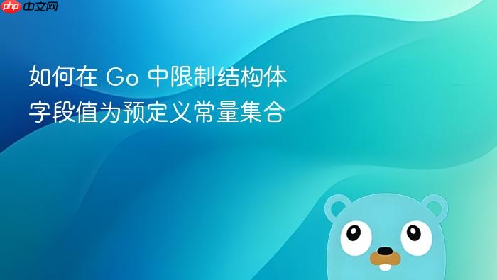 如何在 Go 中限制结构体字段值为预定义常量集合
