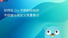 如何在 Go 中限制结构体字段值为预定义常量集合
