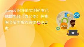 Java反射获取实例所有已赋值字段(含父类)并排除合成字段的完整解决方案