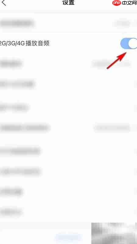 妈妈网允许移动网络播放音频