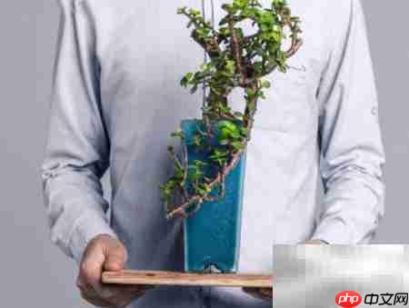 礼品选购指南:实用又贴心