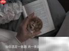 emo句子精选：触动心弦的伤感语录