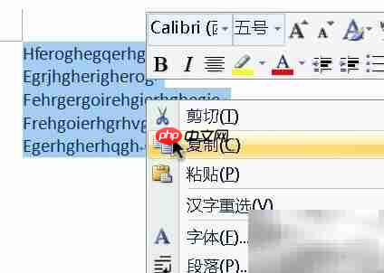 Mac RTF转TXT方法