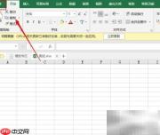 Excel 2019插入表单控件方法